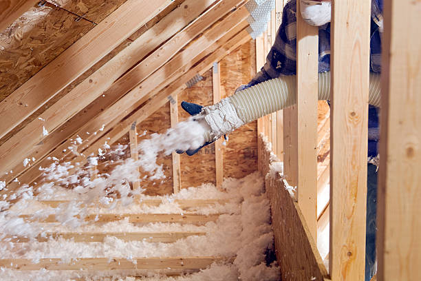 Best Commercial Insulation Services  in Dover Base Housing, DE